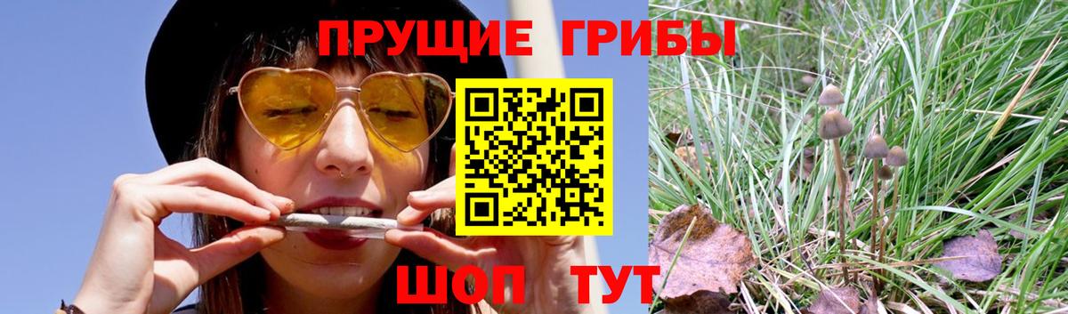 Псилоцибиновые грибы Magic Shrooms Казань